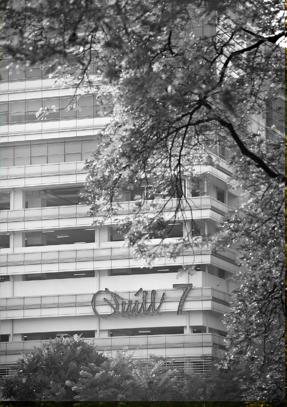 Quill Architecture